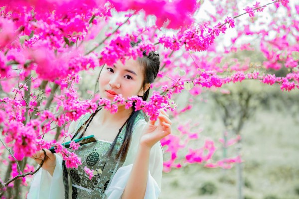 走进武汉，品味生活：揭秘一品茶舍的独特魅力